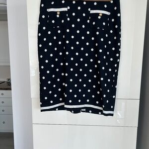Talbots Polka Dot Skirt